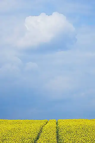 Abschließende Empfehlung und Ausblick