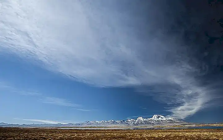 Geschichte und Ursprung des Tibet Mastiffs