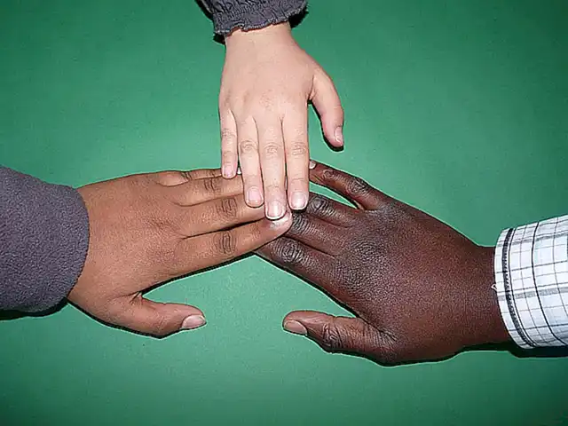 Herausforderungen bei der Integration von Staffy mit anderen Haustieren