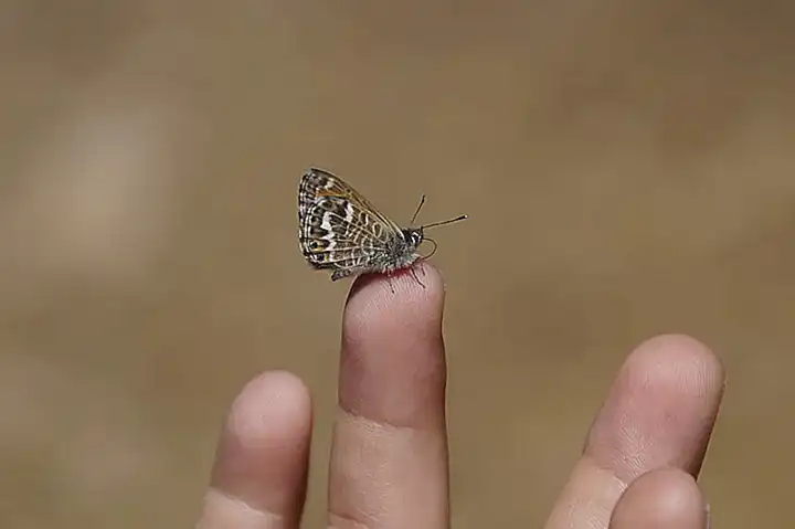 Tipps zur Förderung eines harmonischen Zusammenlebens
