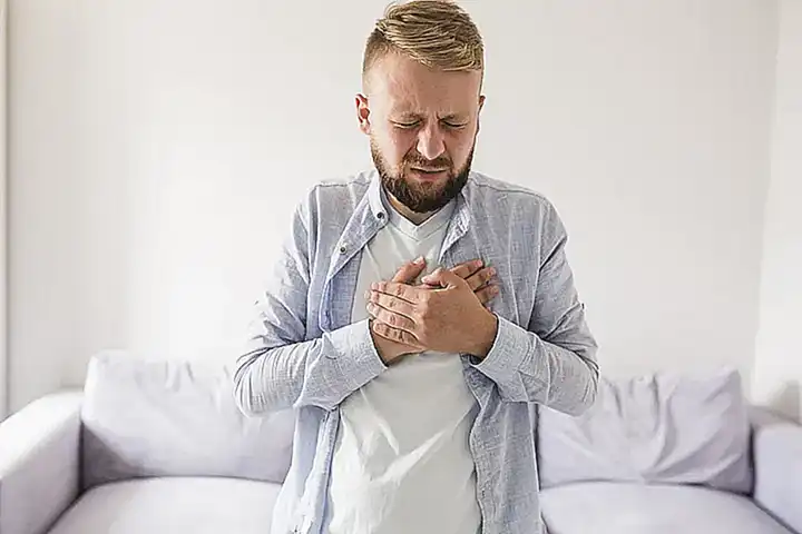 typische Symptome von Erbrechen bei Katzen