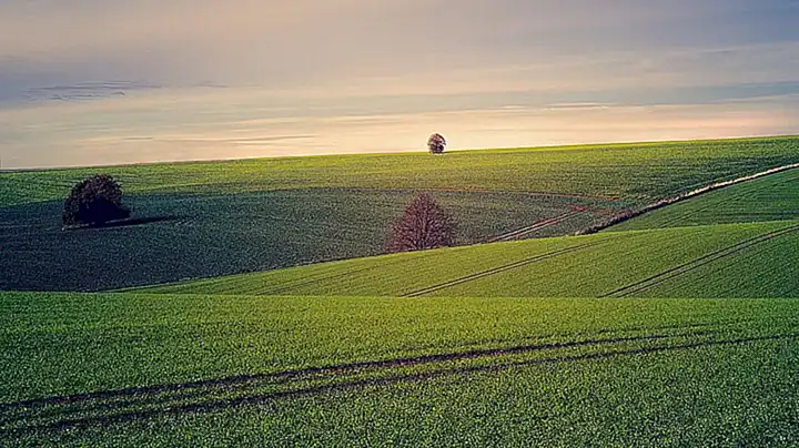 Vom Leben am Land zur Liebe im Haushalt