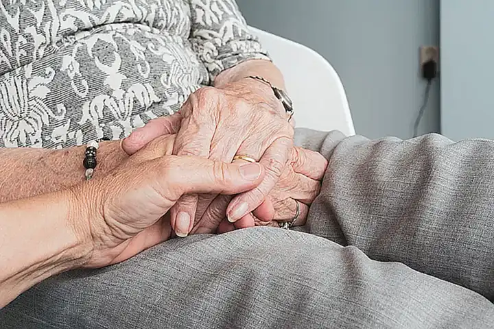 Weitere Unterstützung für betroffene Haustiere